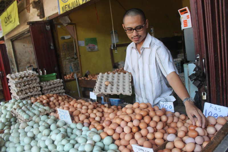 Awal Tahun, Harga Ayam dan Telur Kompak Naik - Kanal 